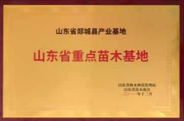 荣誉资质