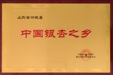 荣誉资质