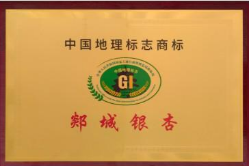荣誉资质